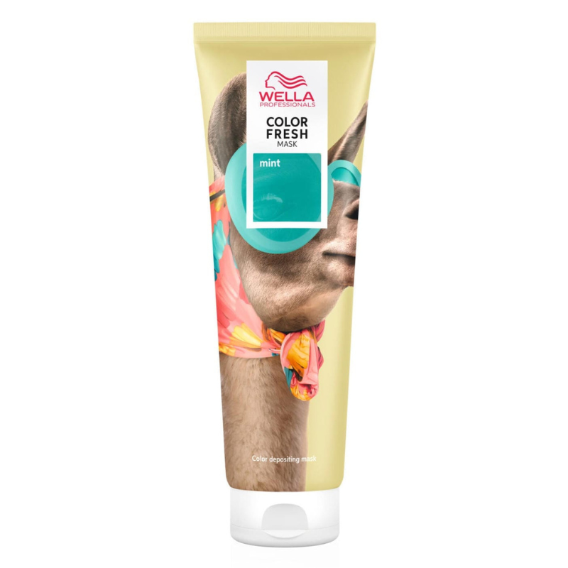 Color Fresh Mask - Mint 150ml